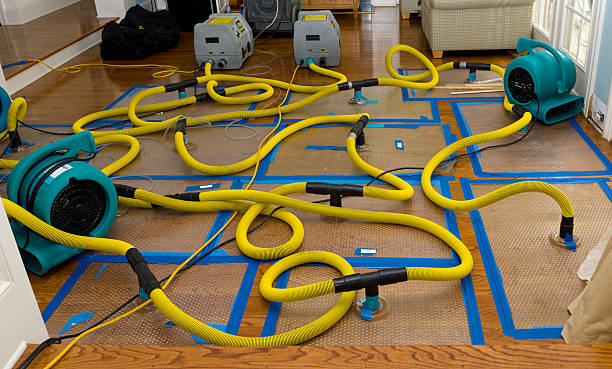 Professional Crawl Space Water Removal technician working in Beachwood, NJ